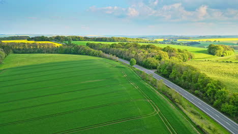 Un-Vídeo-De-Un-Dron-Captura-Campos-De-Cultivo-De-Verano-En-Las-Colinas-De-Lincolnshire-Wolds