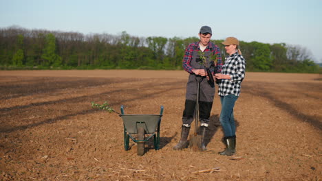 agricultores plantando árboles en un campo