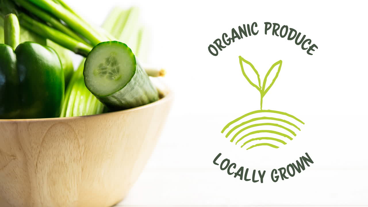 ⁇ 색 위에 있는 그 ⁇ 에 신선한 유기농 채소  ⁇ 러드 위에 녹색으로 표시된 유기농 제품 텍스트의 애니메이션