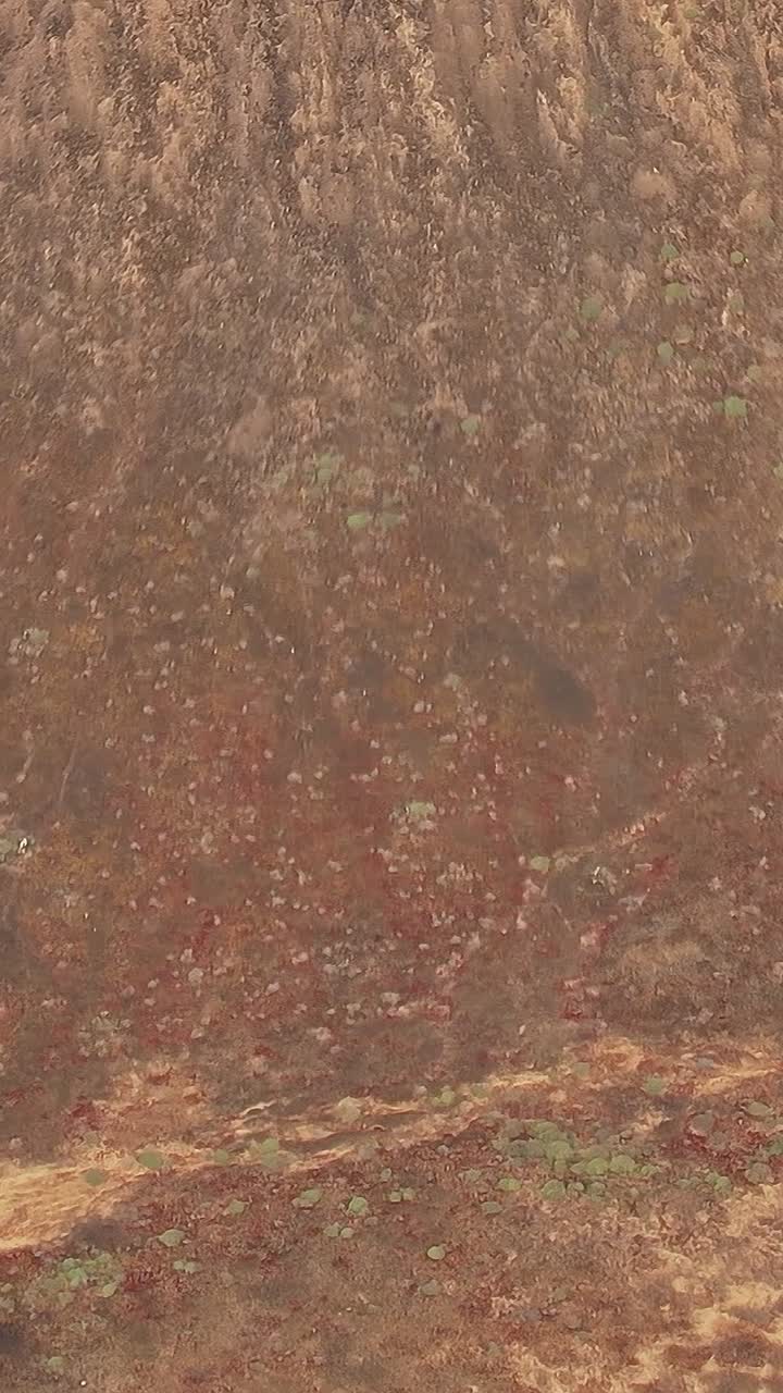 Esplorare il paesaggio vulcanico delle Isole Canarie in Spagna