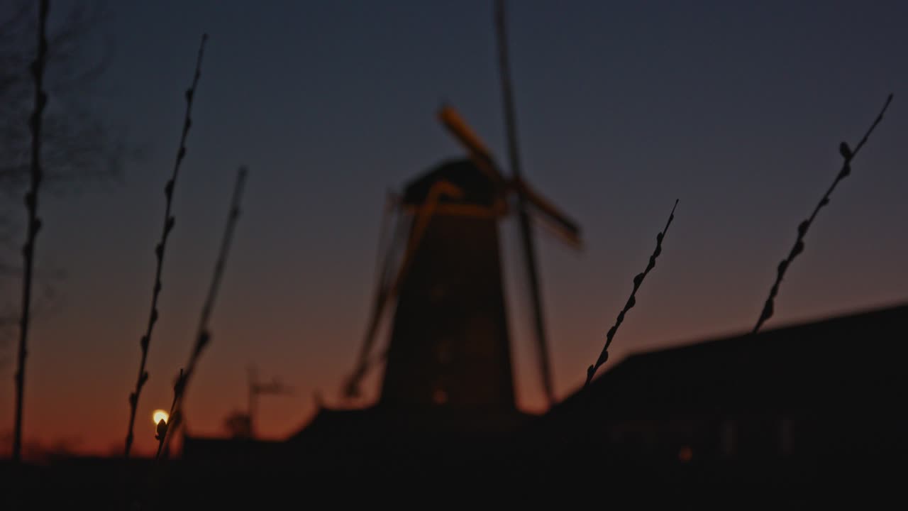 네덜란드의 역사적인 풍차에서 전경의 갈대까지 가까운 초점 랙