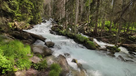 Gebirgsfluss-Im-Wald-In-Zeitlupe.-Wunderschöne-Tierlandschaft.