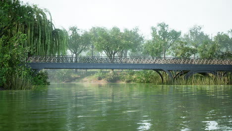 green-treesin-city-park-with-swamp-under-sunny-light