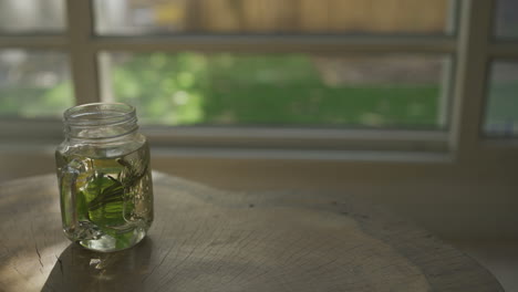 hands holding hot herbal tea glass in apartment