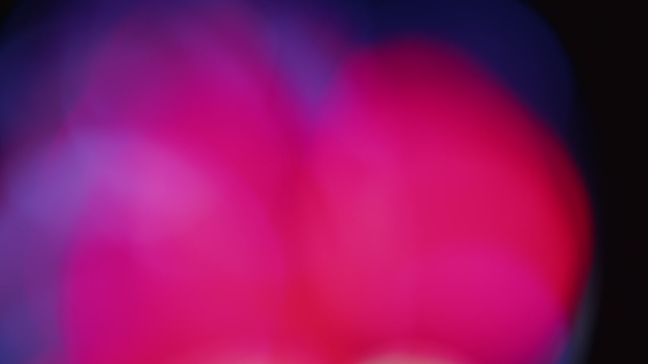 imágenes de fugas de luz multicolor sobre fondo negro, transiciones de superposiciones de fugas de destellos de lente