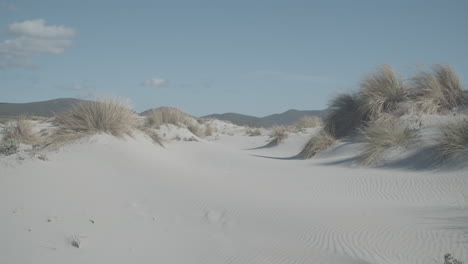 static shot of small sand dunes with clear sky and vegetation