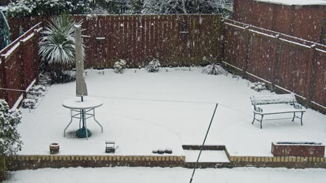 lockdown shot of snowy backyard during snowfall