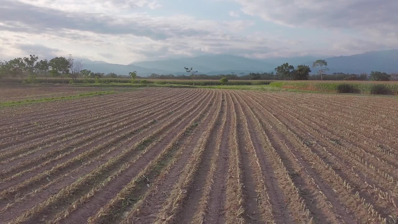 Drone, take aerial of a dry crop, plowed land.
