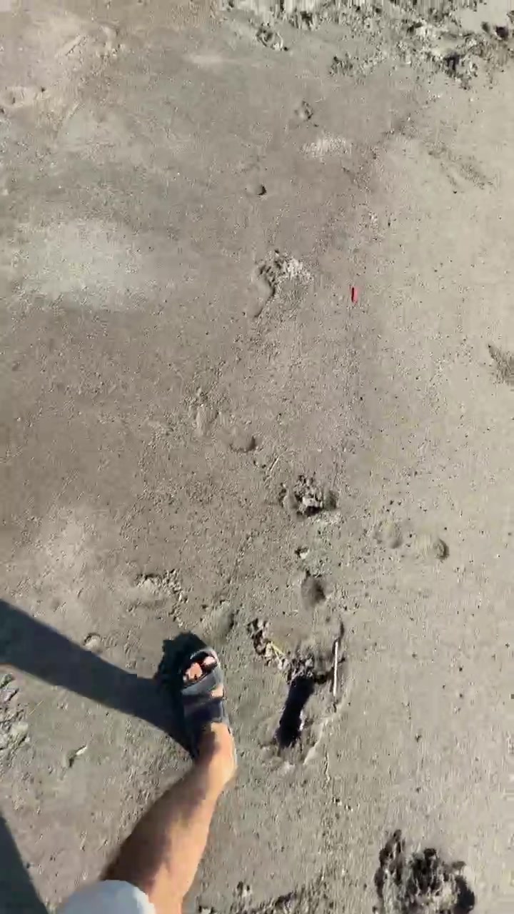 Orang Berjalan dengan Sandal di Pantai Berpasir