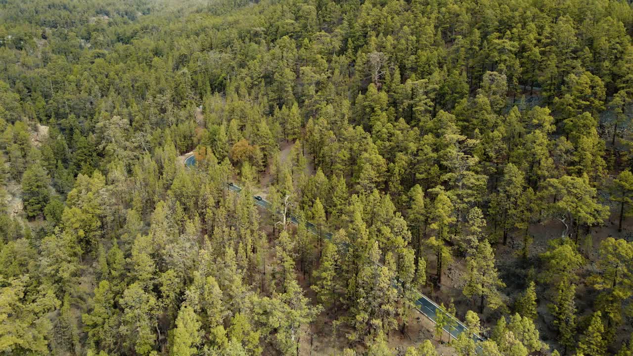 pintoresca vista aérea del bosque amarillo y verde en el parque nacional del teide, españa