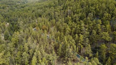 Picturesque-Aerial-View-of-Yellow-and-Green-Forest-in-Teide-National-Park,-Spain