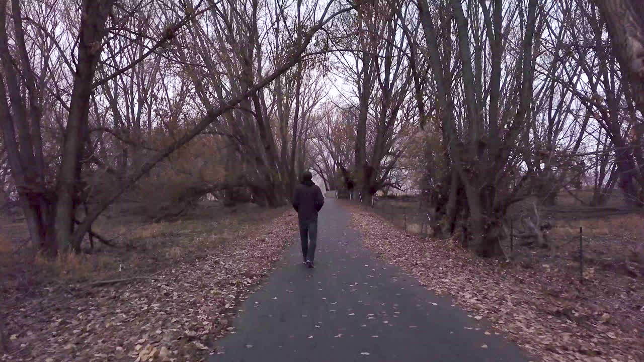 어둡고 차가운 숲을 걷는 남자에게 뒤에서 접근