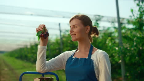 beauitiful young farmer holding orchard cherry at sunny fruit agriculture farm.