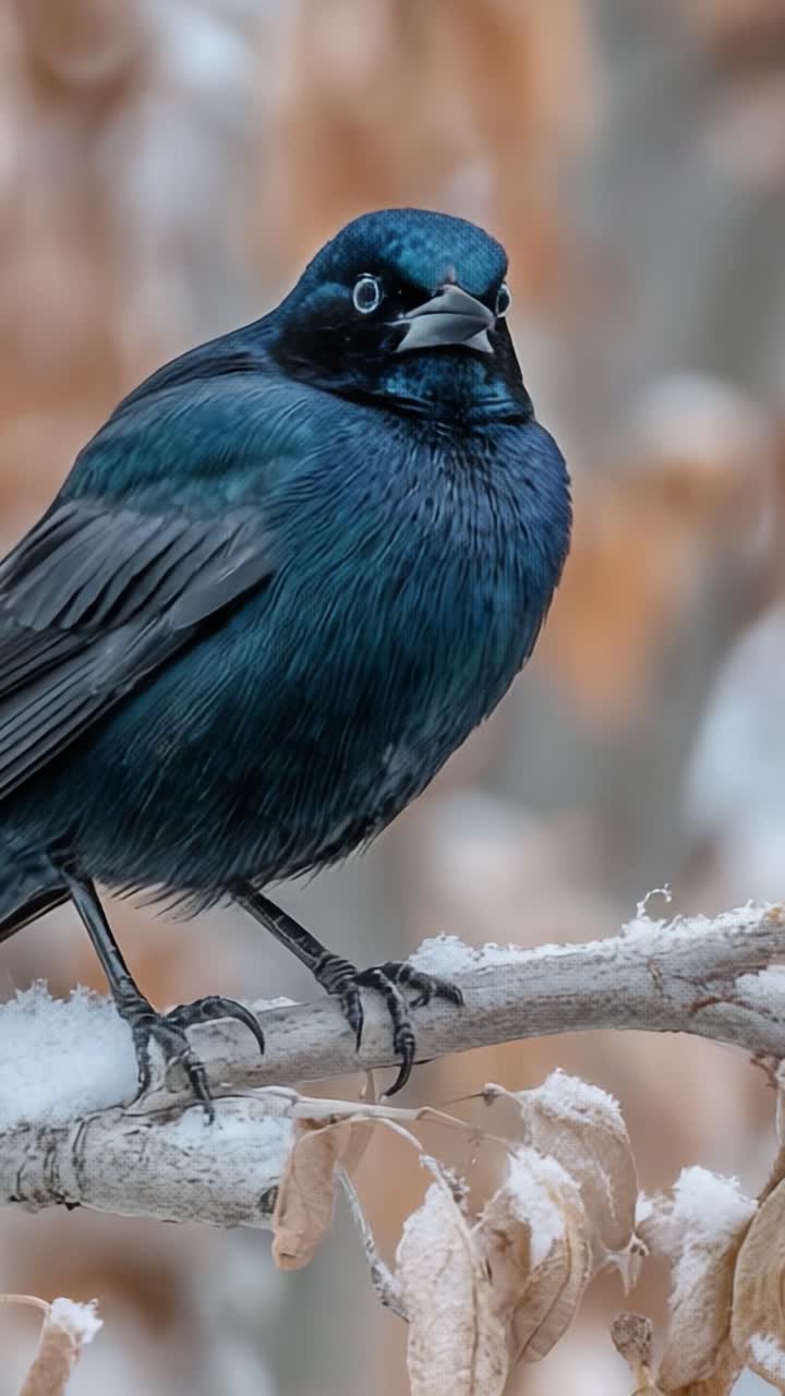 Un primo piano accattivante di un uccello dai colori vivaci appollaiato su un ramo ghiacciato tra le foglie autunnali, che mostra la bellezza e i dettagli della natura.