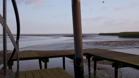 Low Tide at a Coastal Estuary with Pier, Mudflats, and Reeds