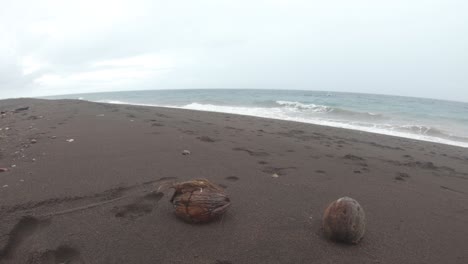 coconuts on a black sandy beach as rough ocean waves from storm crashes on beach philippines 4k