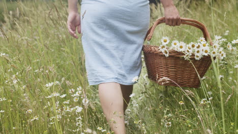 woman in dress walks barefoot in tall grass with flower basket, slow motion