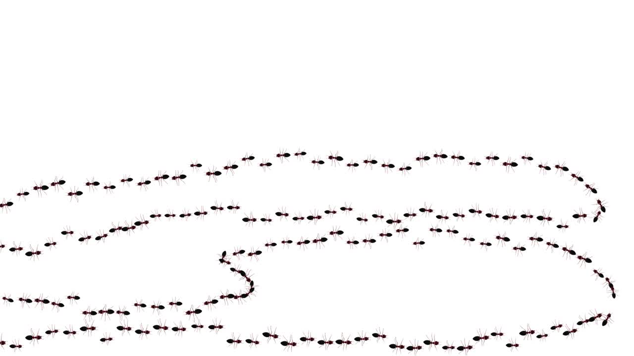 야생 개미가 길을 고 는 배경. 개미 그룹이 고. 동물이 퍼져 나갑니다.