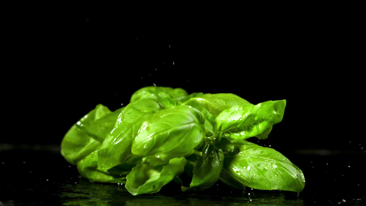 Foglie di basilico verde fresco che cadono su una superficie nera bagnata al rallentatore