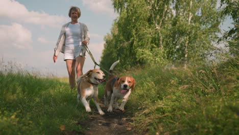 woman walking with her two dogs on leash in grassy field, one dog rushing ahead to join the other in an open green field, background features trees and lush greenery