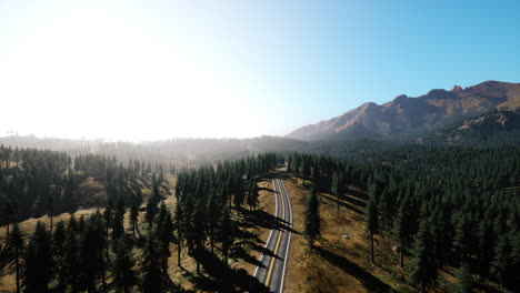natural aerial view on the road and forest at the autumn time