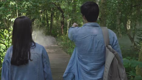 back of couple walking on wooden path through the forest, slow motion