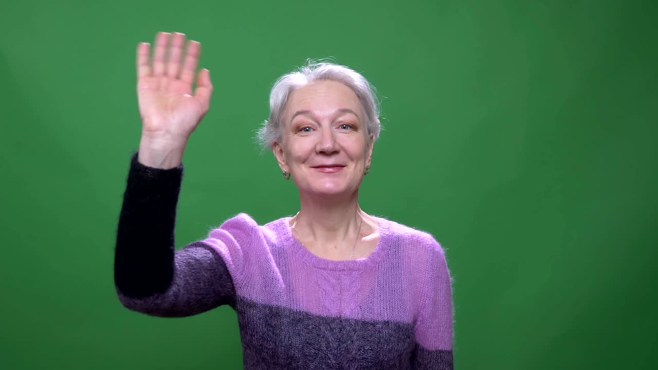 Gray haired grandmother in violet sweater waves hand gladly into camera isolated on green chromakey background.