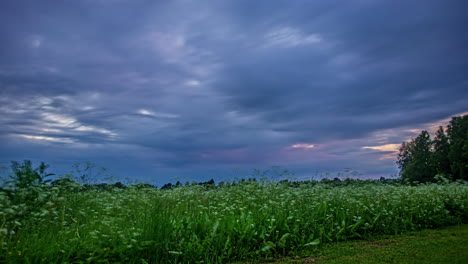 Tiro-De-ángulo-Bajo-De-Nubes-Oscuras-Que-Soplan-En-Timelapse-Sobre-Praderas-Verdes-Rodeadas-De-árboles-Durante-La-Primavera