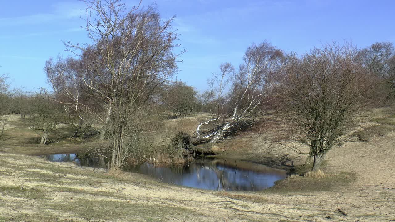 piscina en el paisaje de dunas holandesas