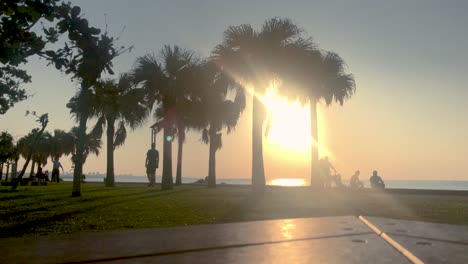 time lapse of palm tree and people from a park bench