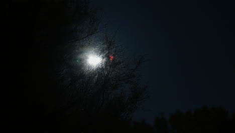 moonlit desert landscape