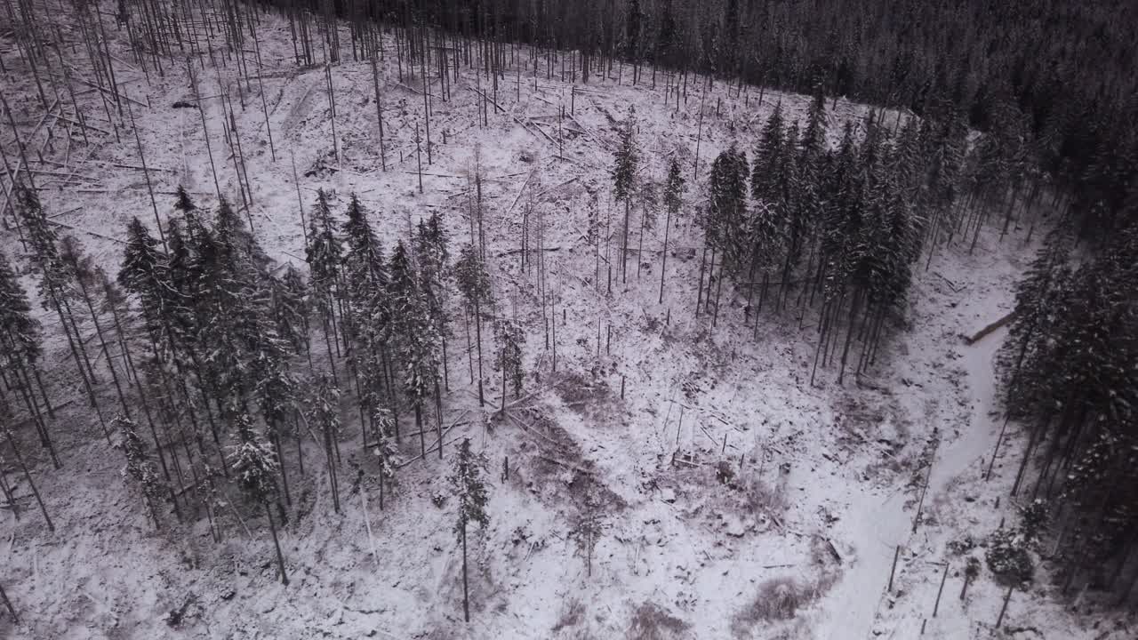 Kasprowy Wierch ski lift view travelling down snowy mountain wintry woodland above trees