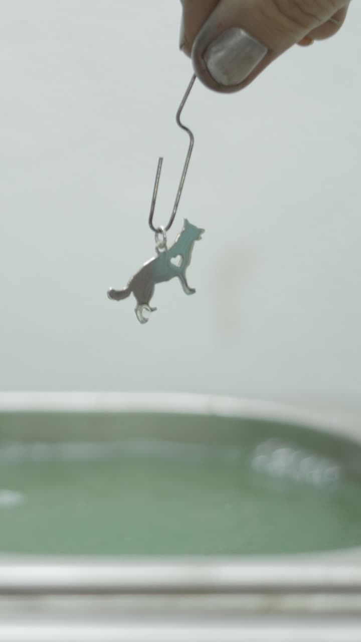 Cleaning a Silver Dog Charm in Liquid