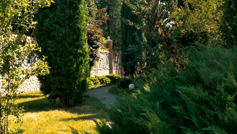 young muscular man is walking with black dog in the garden