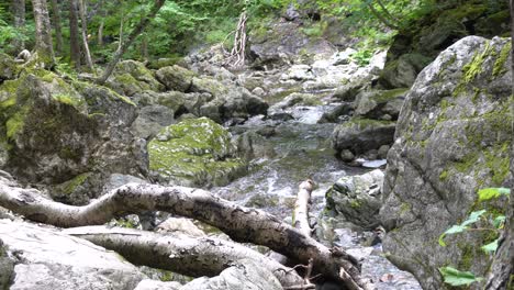 a river is flowing in a loop in dense woods with rocks