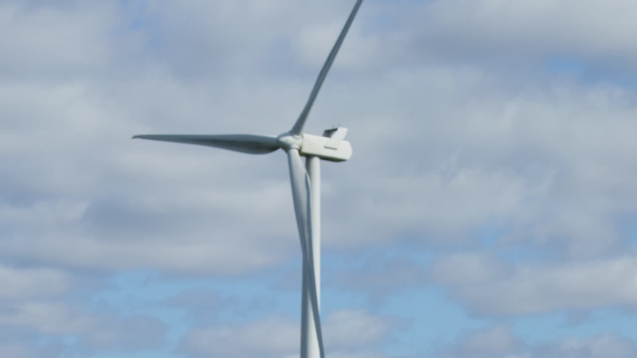 Wind turbine spins near grazing cows on green farmland under bright daylight and blue sky