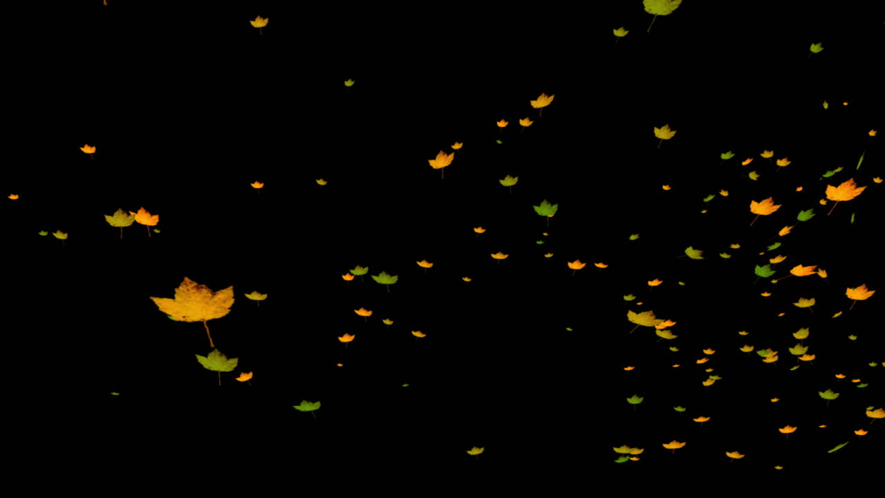 ⁇ 은 메이플 잎