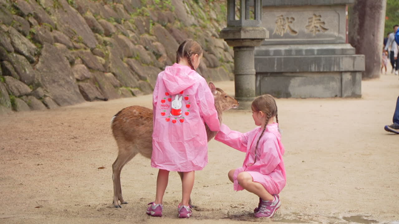 일본 공원에서 사과 상호 작용하는 두 소녀