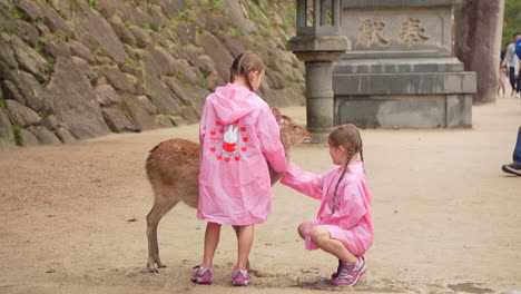 dos chicas interactuando con un ciervo en un parque japonés