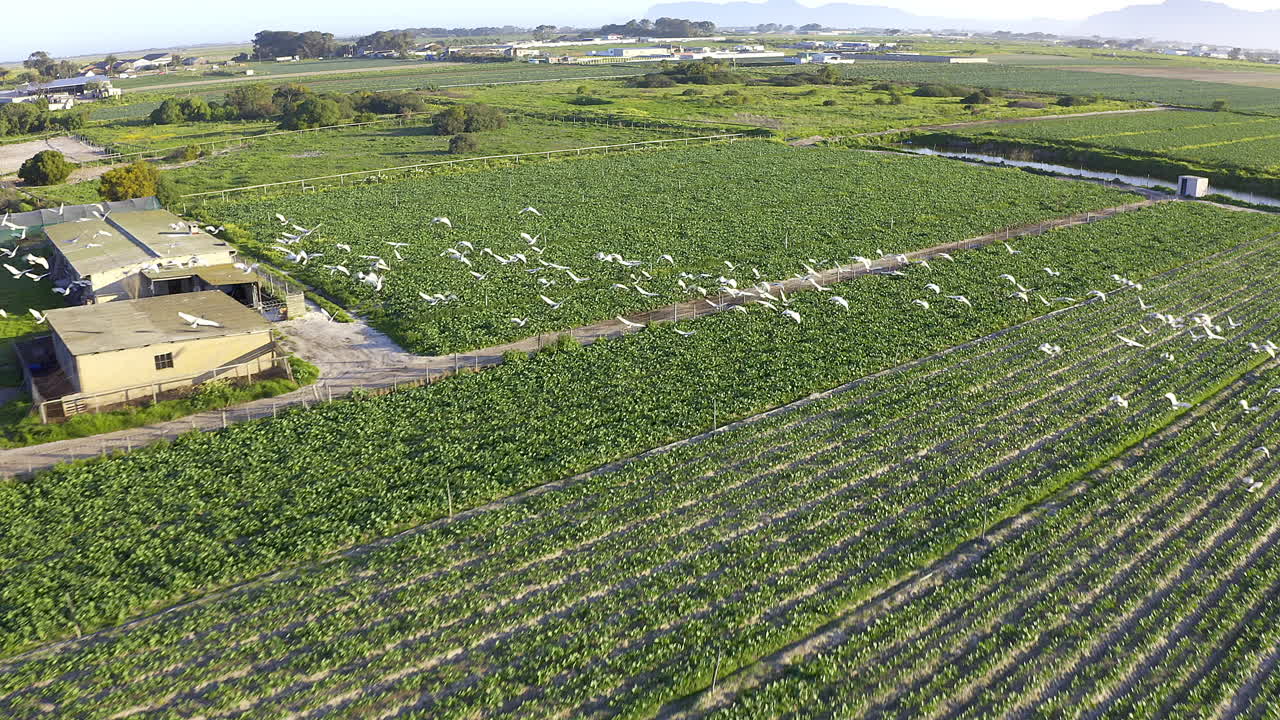 эта ферма - их любимое место отдыха.