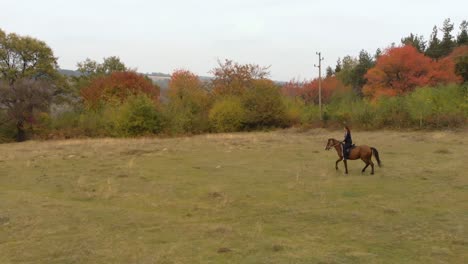 Low-aerial-tracking-shot-of-girl-ride-horse-in-grass-field-4