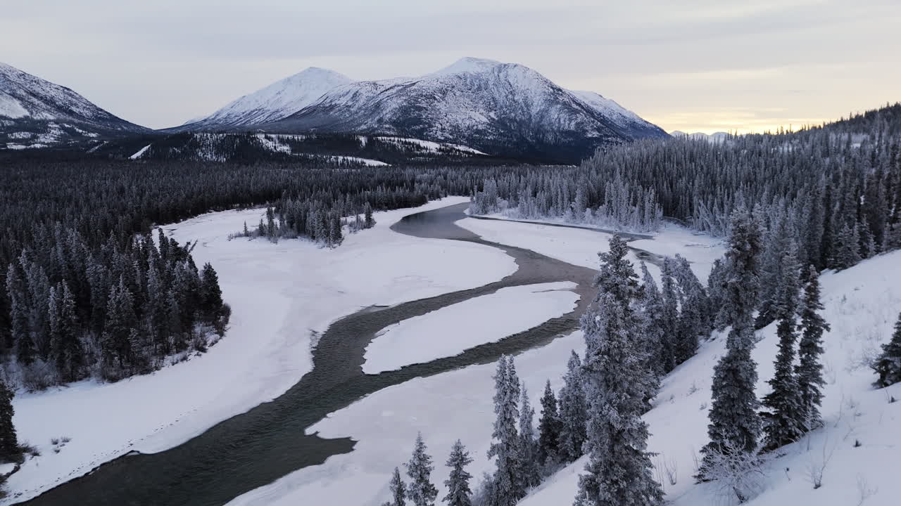 The Takhini River Winding Through a Winter Landscape With Dense Forest and Snowy Mountains in Yukon, Canada - Drone Flying Forward