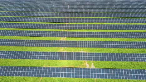 Luftaufnahme-Von-Sonnenkollektoren,-Landwirtschaftliche-Solarzelle-Mit-Sonnenlicht