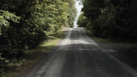 driving down a beautiful scenic driveway on a sunny day with trees surrounding the driveway on each side in the country side