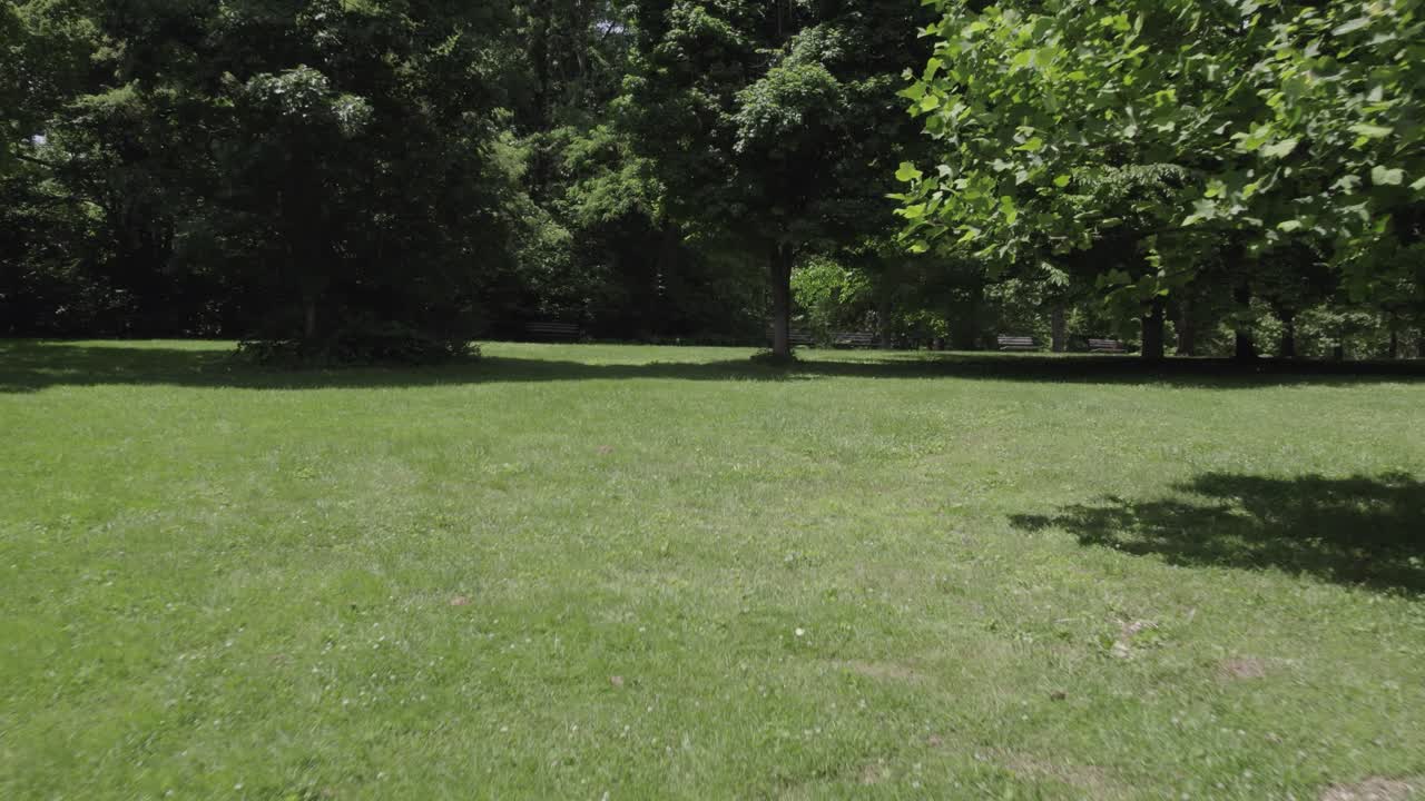 Slow push-in at a quiet park with trees gently blowing in the wind. Peaceful and natural, perfect for themes of relaxation, nature, and outdoor environments.