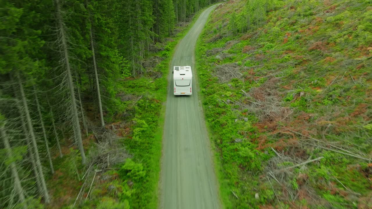Carrellata di un camper che percorre una strada sterrata fiancheggiata da pini.