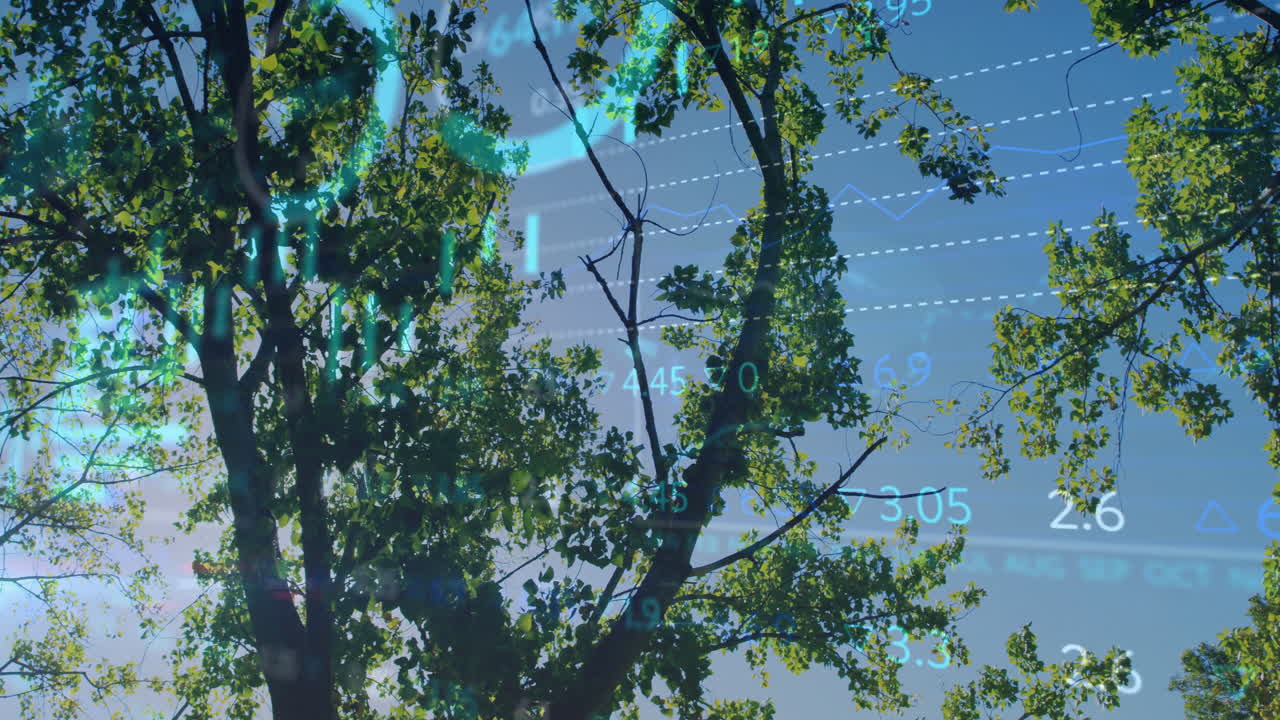 Tree branches with financial data and graphs animation over blue sky