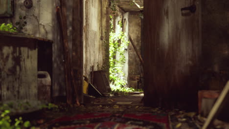 ruined abandoned overgrown by plants interior