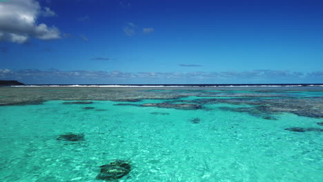 flyover above clear shallows and coral reef near mare, loyalty islands