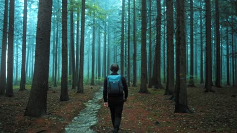 Man-with-a-backpack-travels-through-a-mysterious-and-dark-forest-on-a-cold,-foggy-autumn-morning